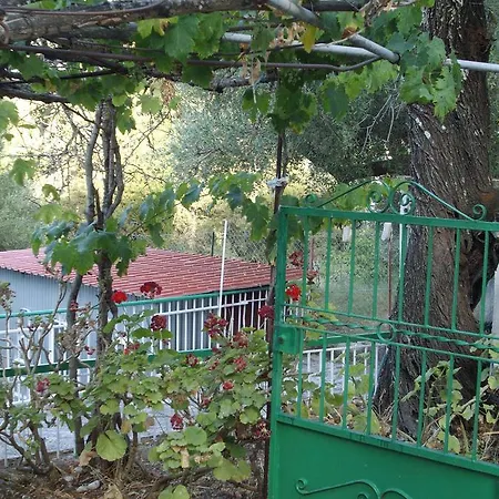 Kokoni @ Kefalonia Lixúri